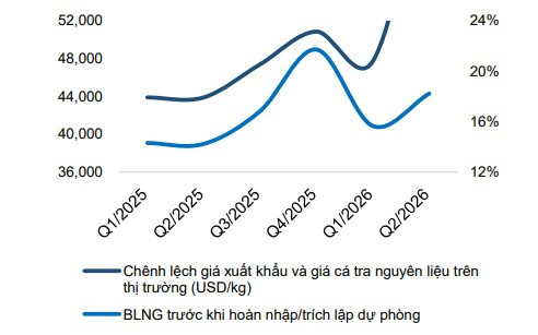 Biên lợi nhuận của VHC tăng cao nhờ chênh lệch giữa giá cá tra xuất khẩu và cá nguyên liệu
