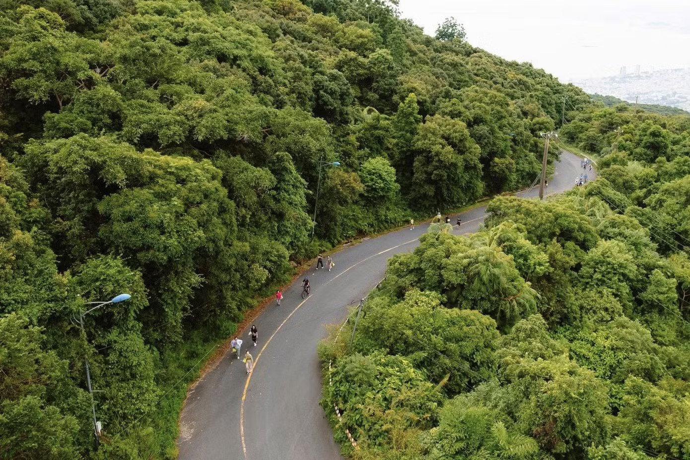 Bán đảo Sơn Trà là điểm đến khó có thể bỏ qua khi đến Đà Nẵng, tuy nhiên du khách cần hạn chế tham quan trong những ngày mưa lớn để đảm bảo an toàn. Đà Nẵng hạn chế khách lên bán đảo Sơn Trà khi mưa lớn - Ảnh 1.