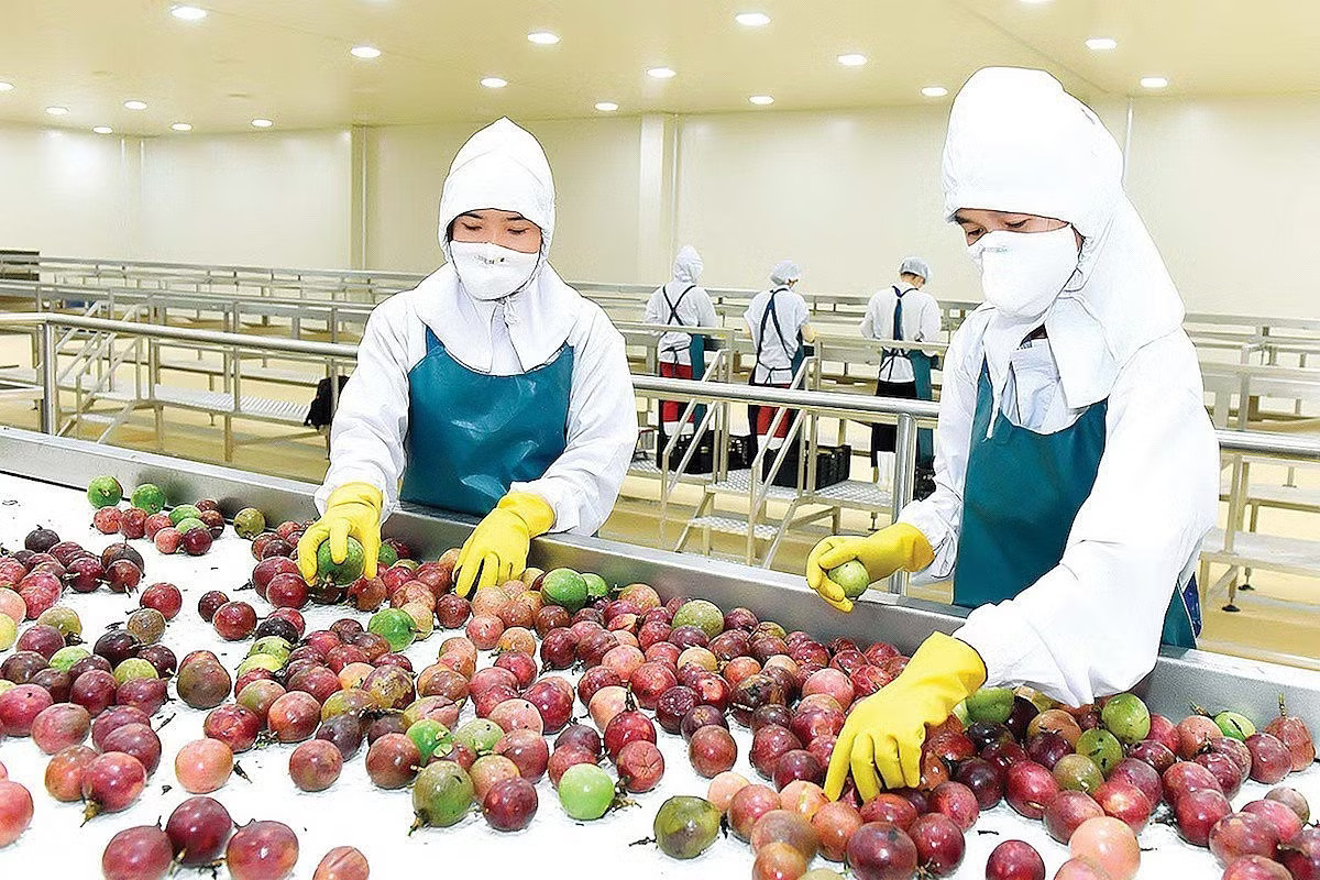 Nông sản 'chạy nước rút' hướng đến mốc 18 tỷ USD cuối năm - Ảnh 1.