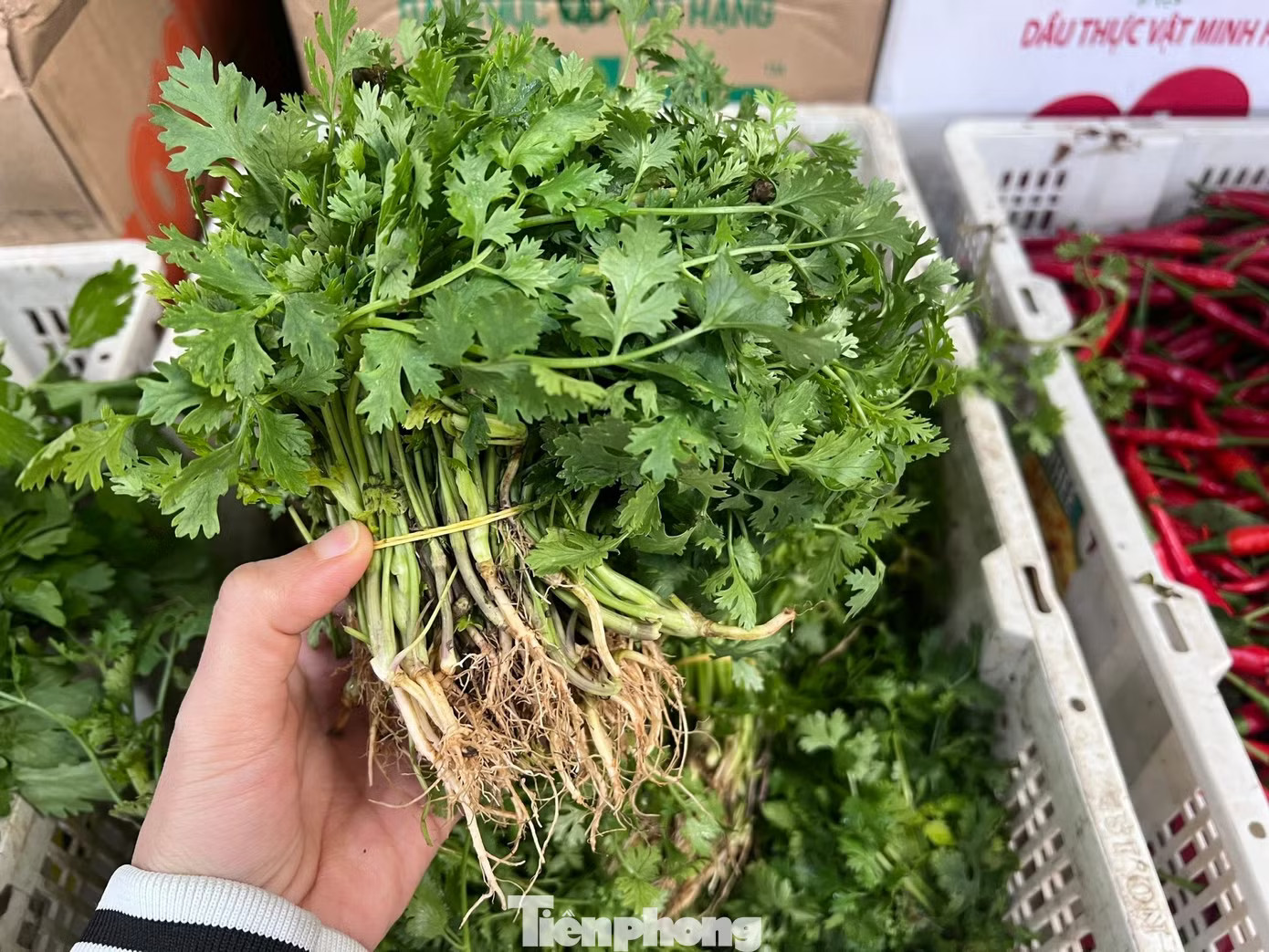 'Bỏng tay' với giá rau sau mưa ngập - Ảnh 4.