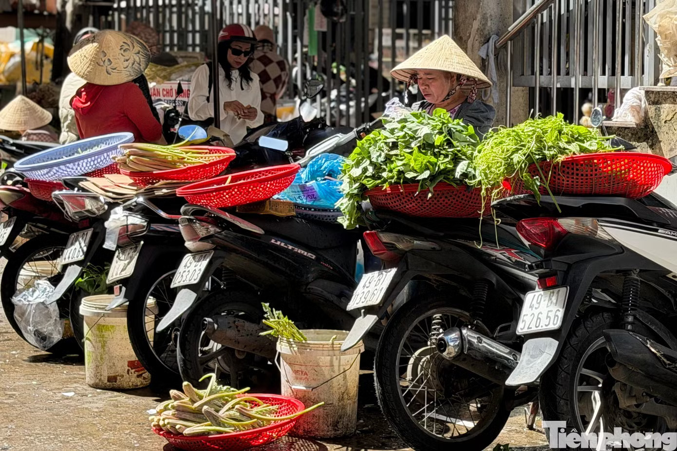 'Bỏng tay' với giá rau sau mưa ngập - Ảnh 3.