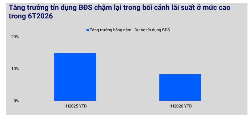 vis-du-bao-thi-truong-va-doanh-nghiep-bat-dong-san2.jpg