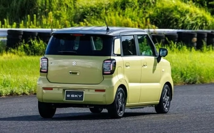 suzuki-11.jpg