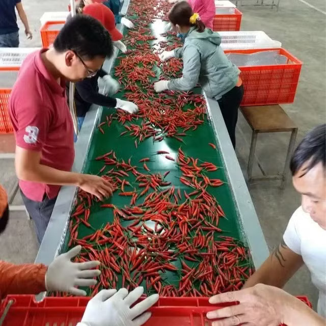 'Nợ 36.000 tỷ đồng đáng sợ thật, nhưng không đáng sợ bằng mất một chữ tín' - Ảnh 3.