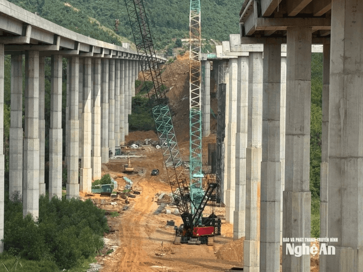 Ảnh màn hình 2026-10-15 lúc 16.44.25