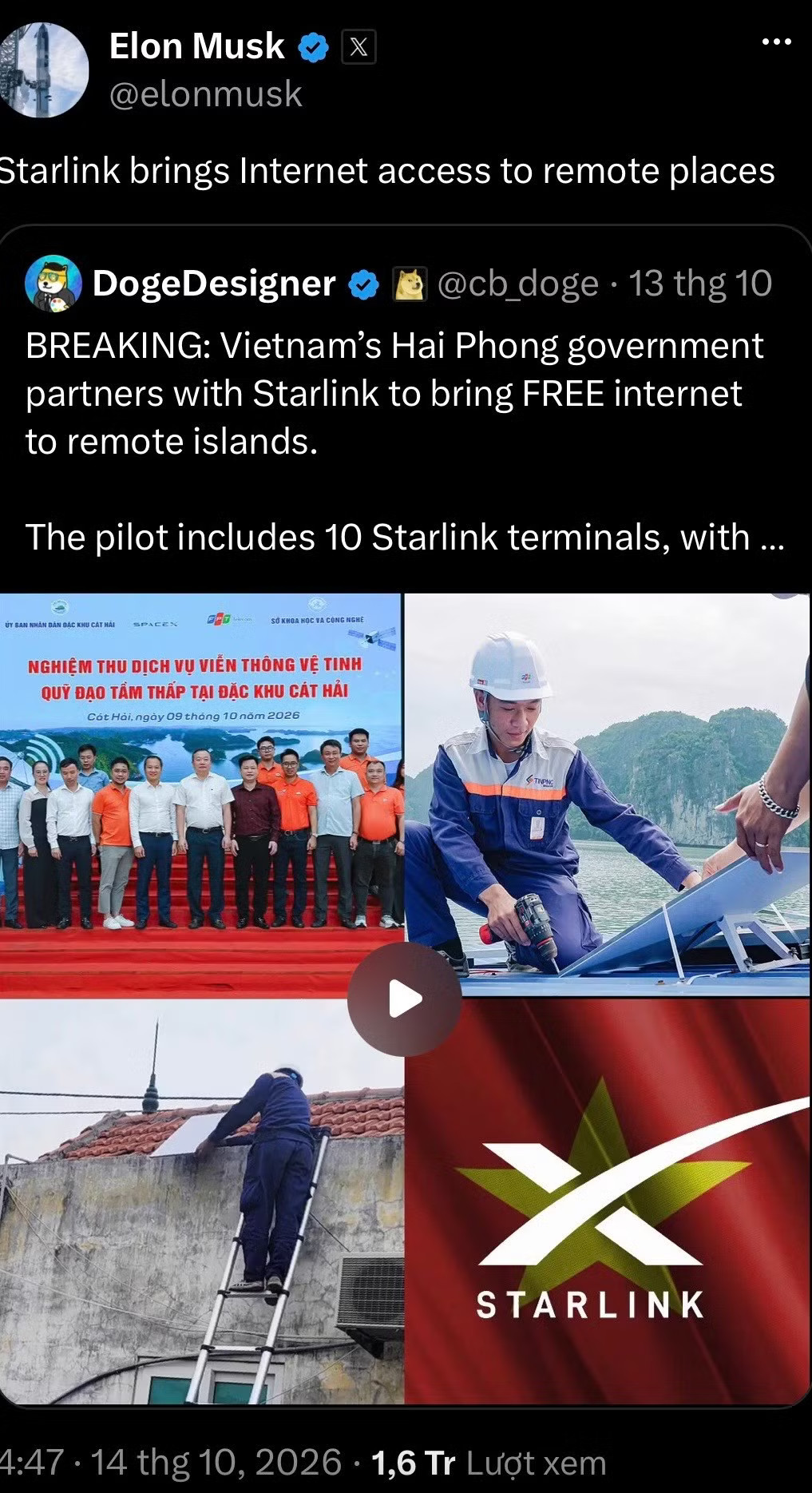 Tỷ phú Elon Musk chia sẻ 6 điểm lắp đặt Internet Starlink tại Cát Bà - Ảnh 1.