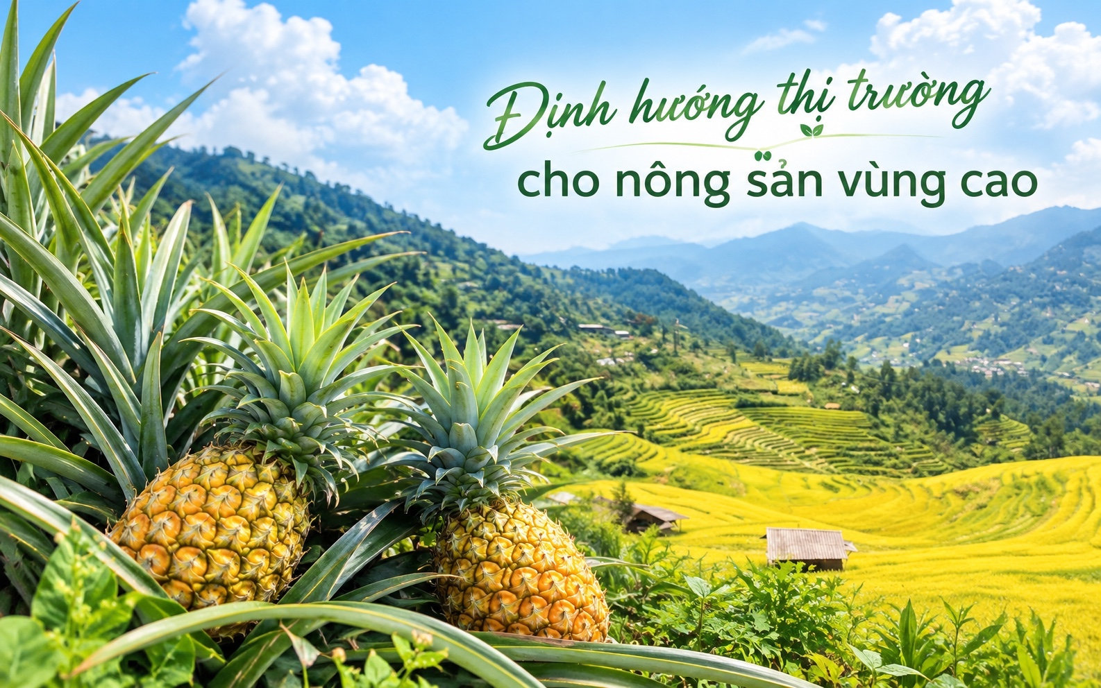 Định hướng thị trường cho nông sản vùng cao- Ảnh 1.