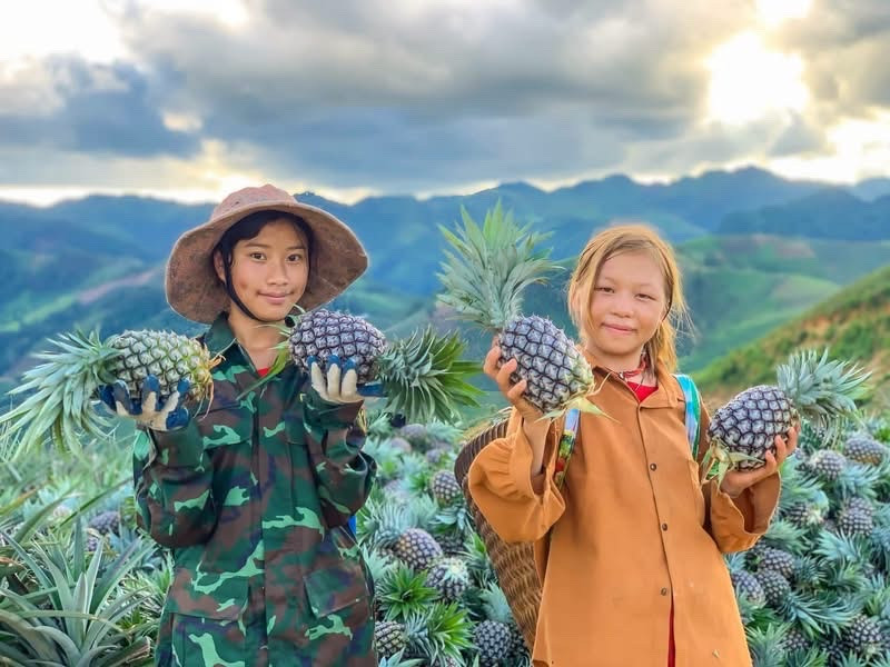 Định hướng thị trường cho nông sản vùng cao- Ảnh 3.