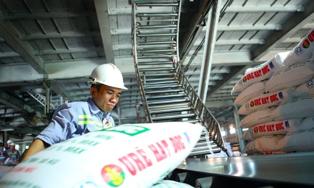 Đề xuất giảm thuế xuất khẩu phân bón từ 5% xuống 0% - Ảnh 1.