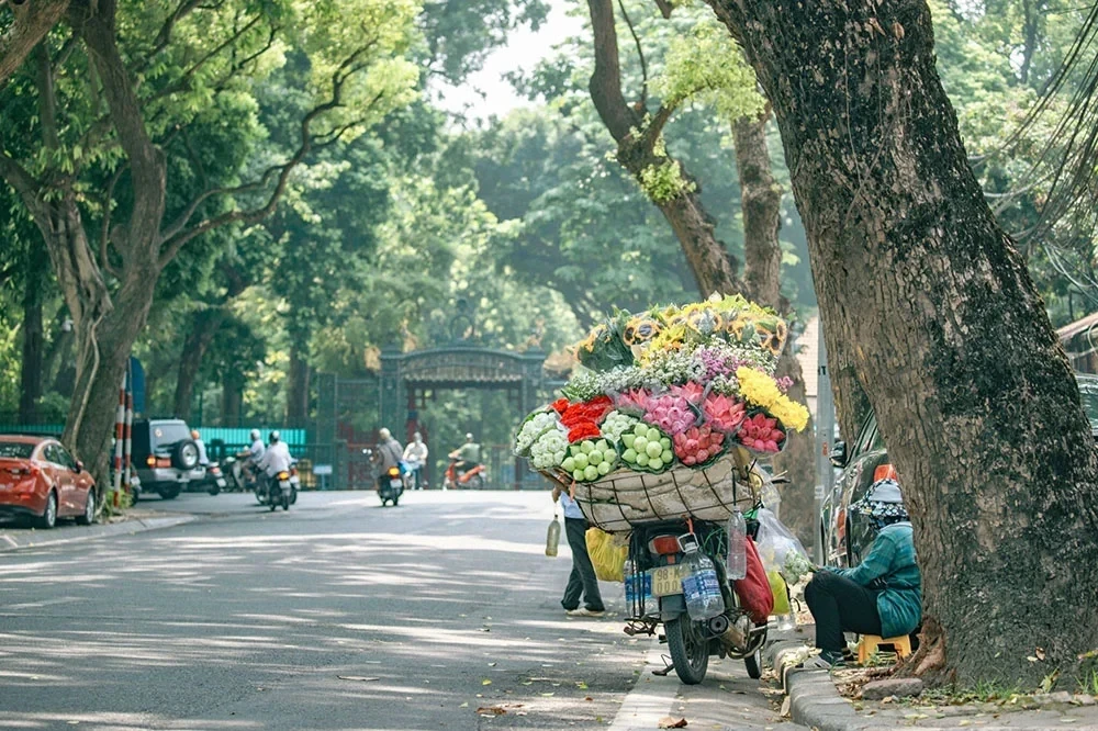 Mùa thu Hà Nội luôn khiến du khách xao xuyến