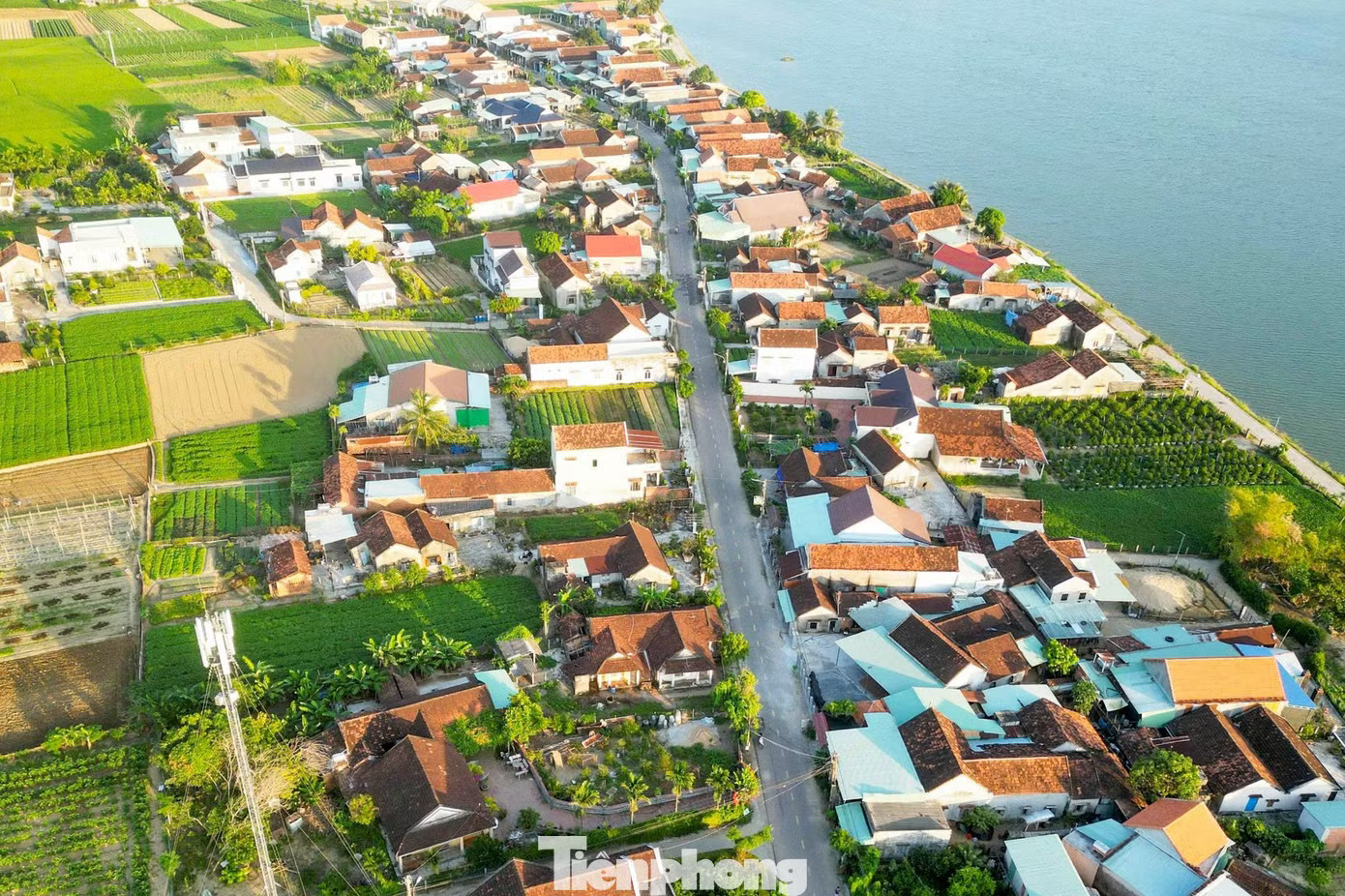 Một góc của làng rau Thuận Nghĩa bên dòng sông Kôn ở xã Tây Sơn, tỉnh Gia Lai. 5 xã ở Gia Lai được thống nhất lên phường - Ảnh 1.