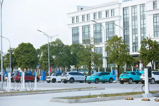 1792651116174_409859754782760738_4506031491658619930_60fd7ff595304fc28ba32a0a6a66b70d.jpg