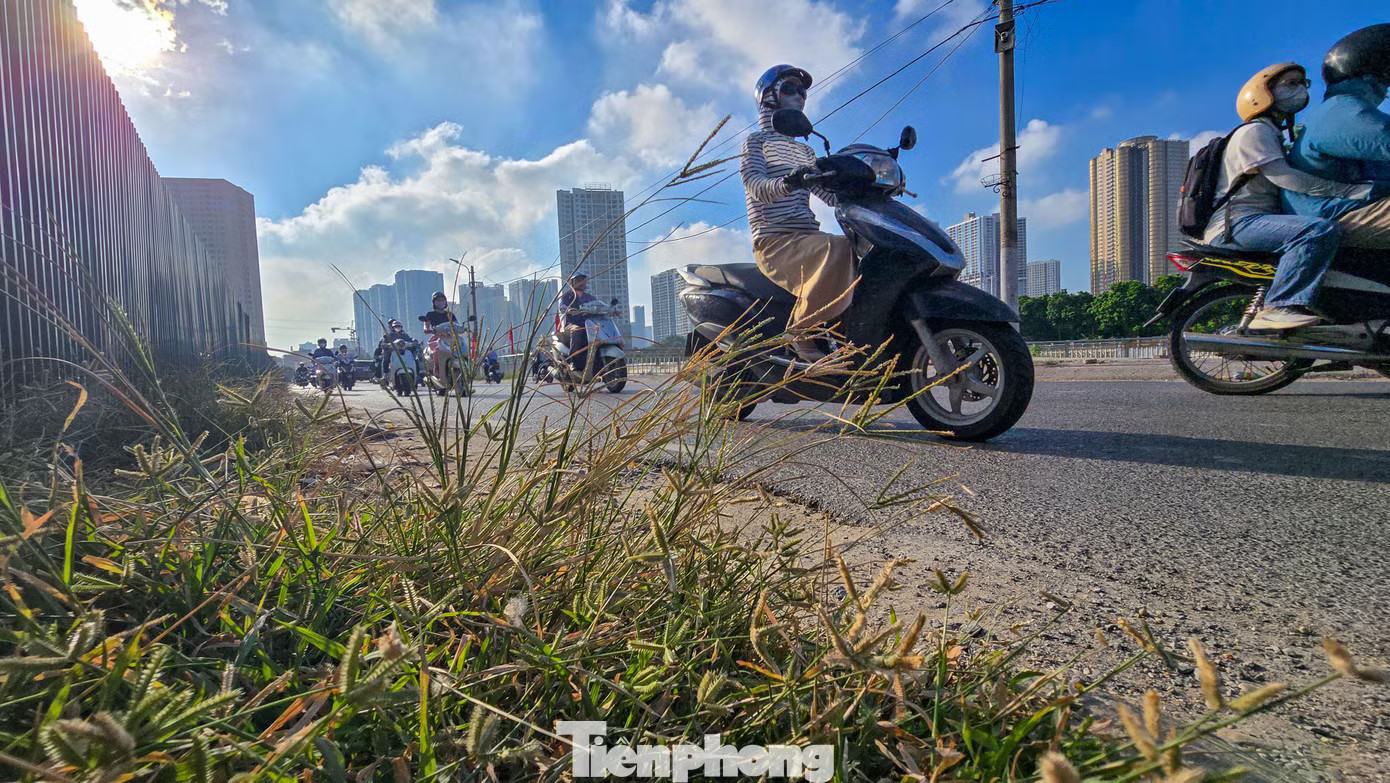 Không một bóng cây trên con đường 'độc nhất vô nhị' Hà Nội - Ảnh 5.