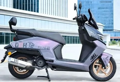 sieu-tay-ga-19.jpg