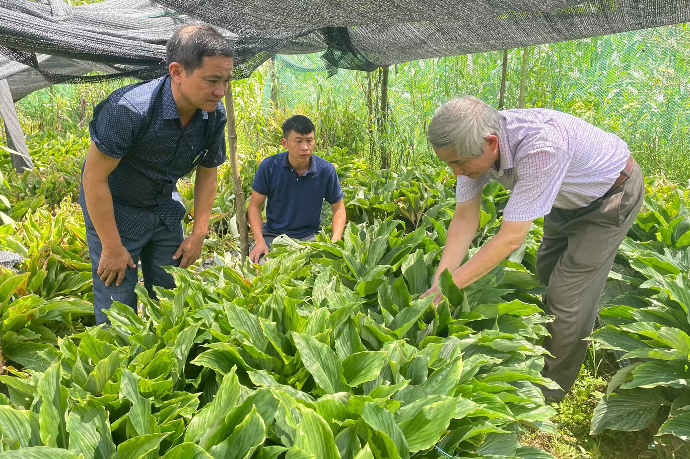 Bảo tồn đa dạng sinh học Pù Luông: Giữ ‘báu vật’ đại ngàn - Ảnh 8.