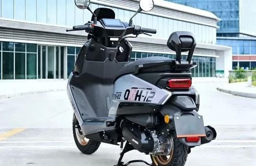 sieu-tay-ga-2.jpg