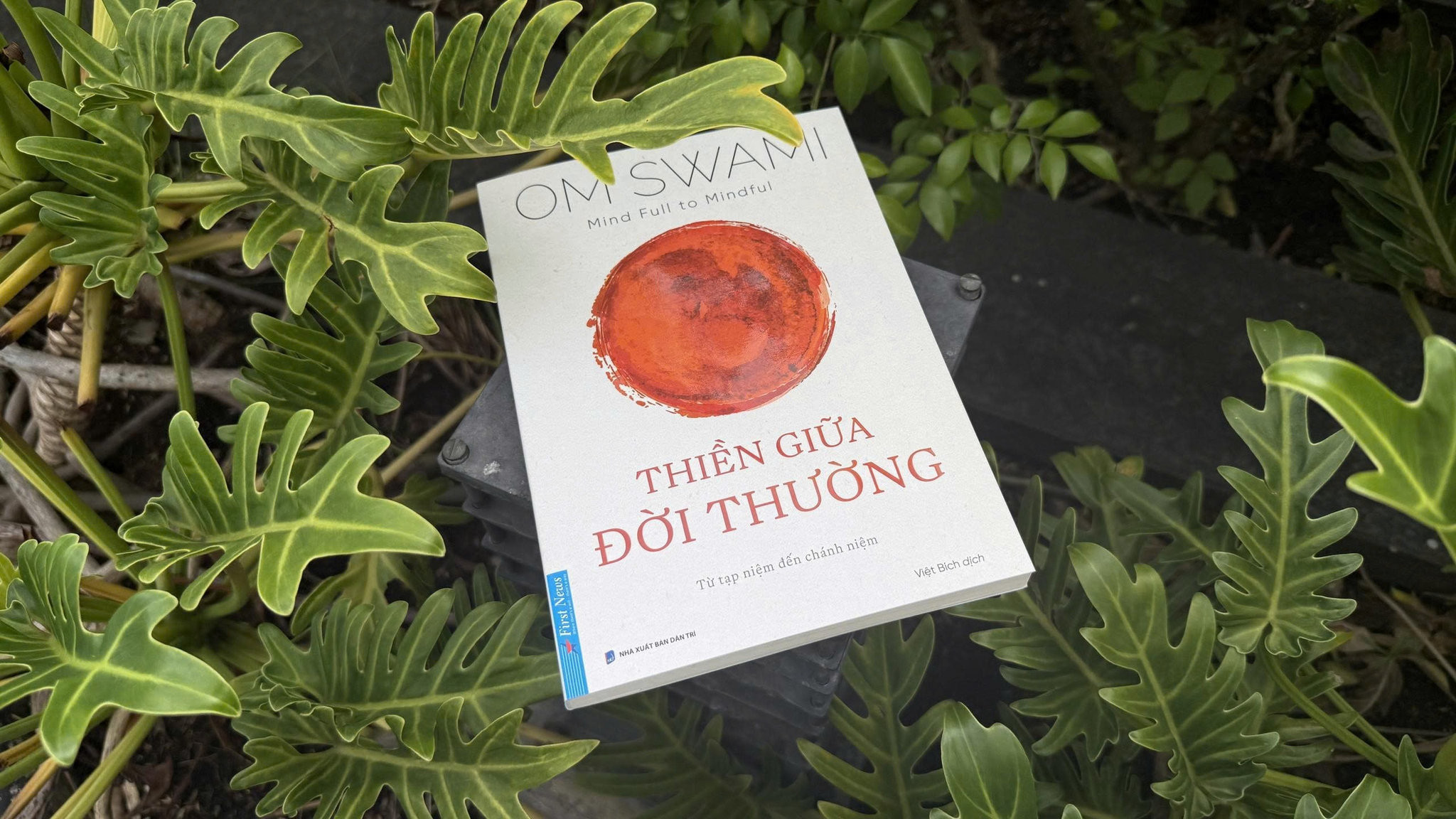 thiengiuadoithuong3.jpg