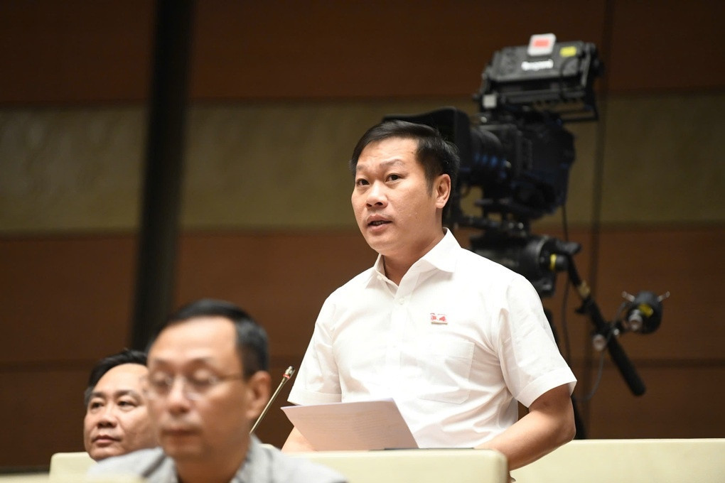 dai-bieu-nguyen-khanh-vu.jpg