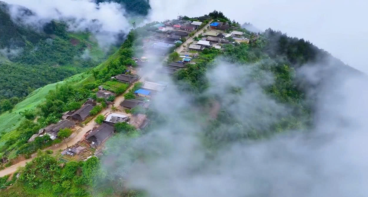 - Nam Xuân Lê