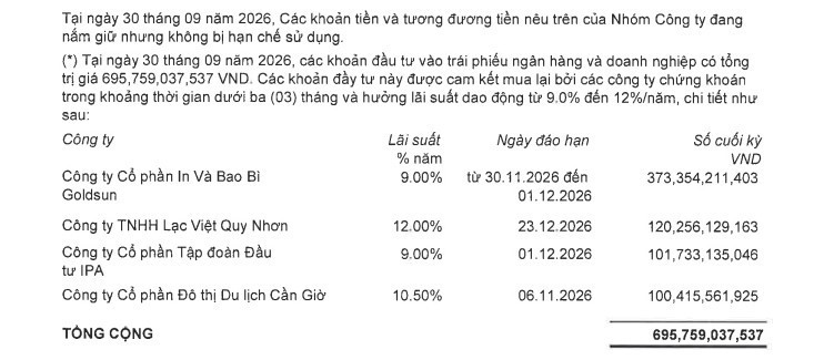 Các khoản đầu tư trái phiếu của DGW