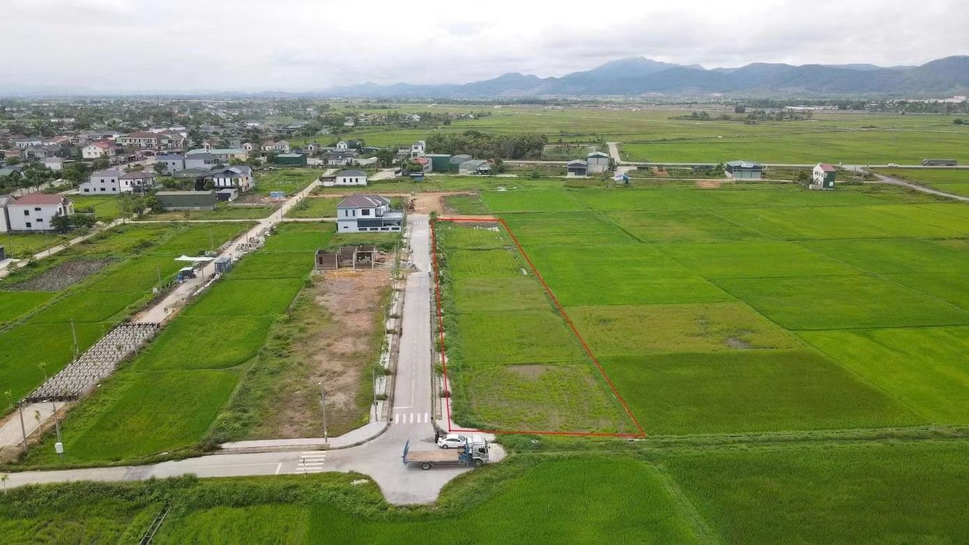 Sau 'sốt nóng', đấu giá đất vùng quê trầm lắng, nhiều nơi ‘trắng hồ sơ’ - Ảnh 1.