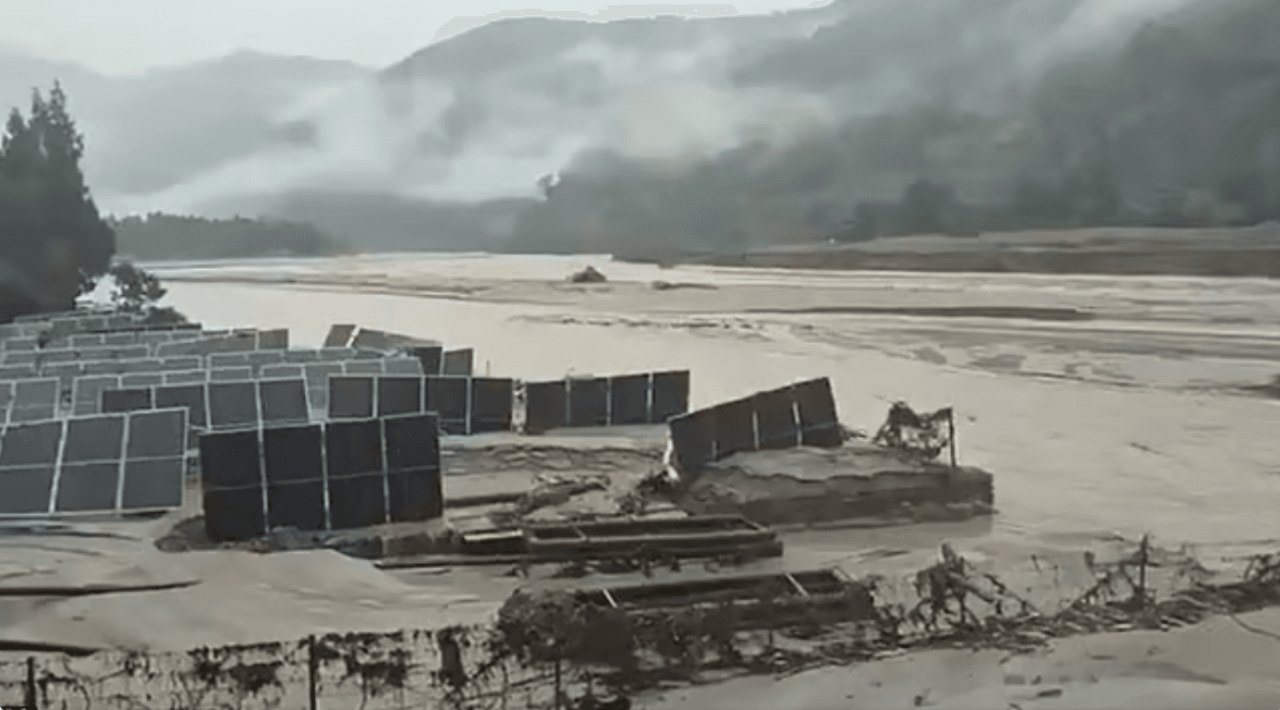 d3_1793360063.png