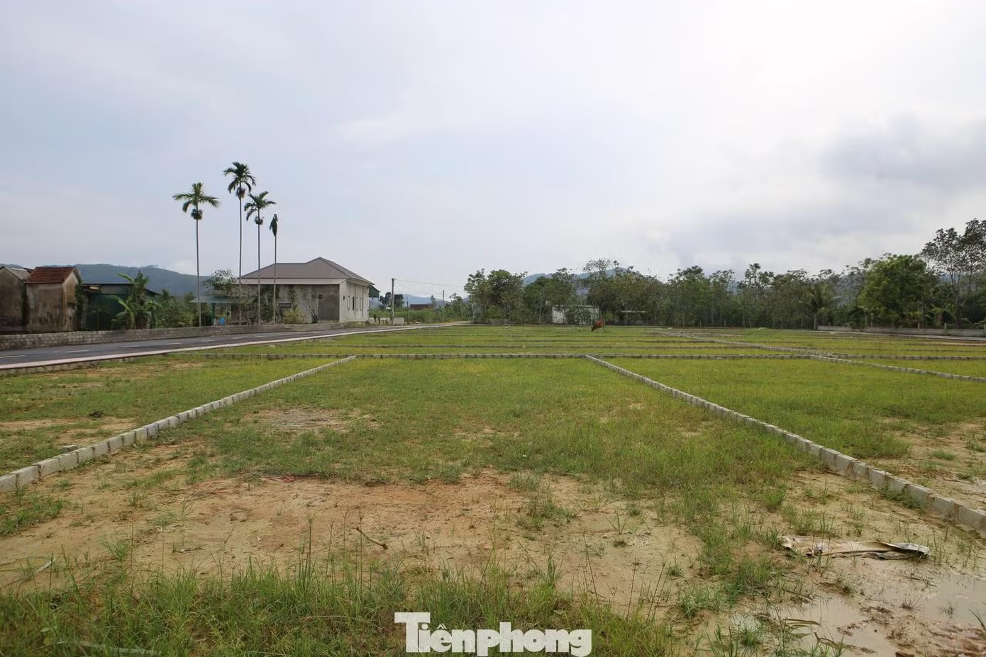 Sau 'sốt nóng', đấu giá đất vùng quê trầm lắng, nhiều nơi ‘trắng hồ sơ’ - Ảnh 2.
