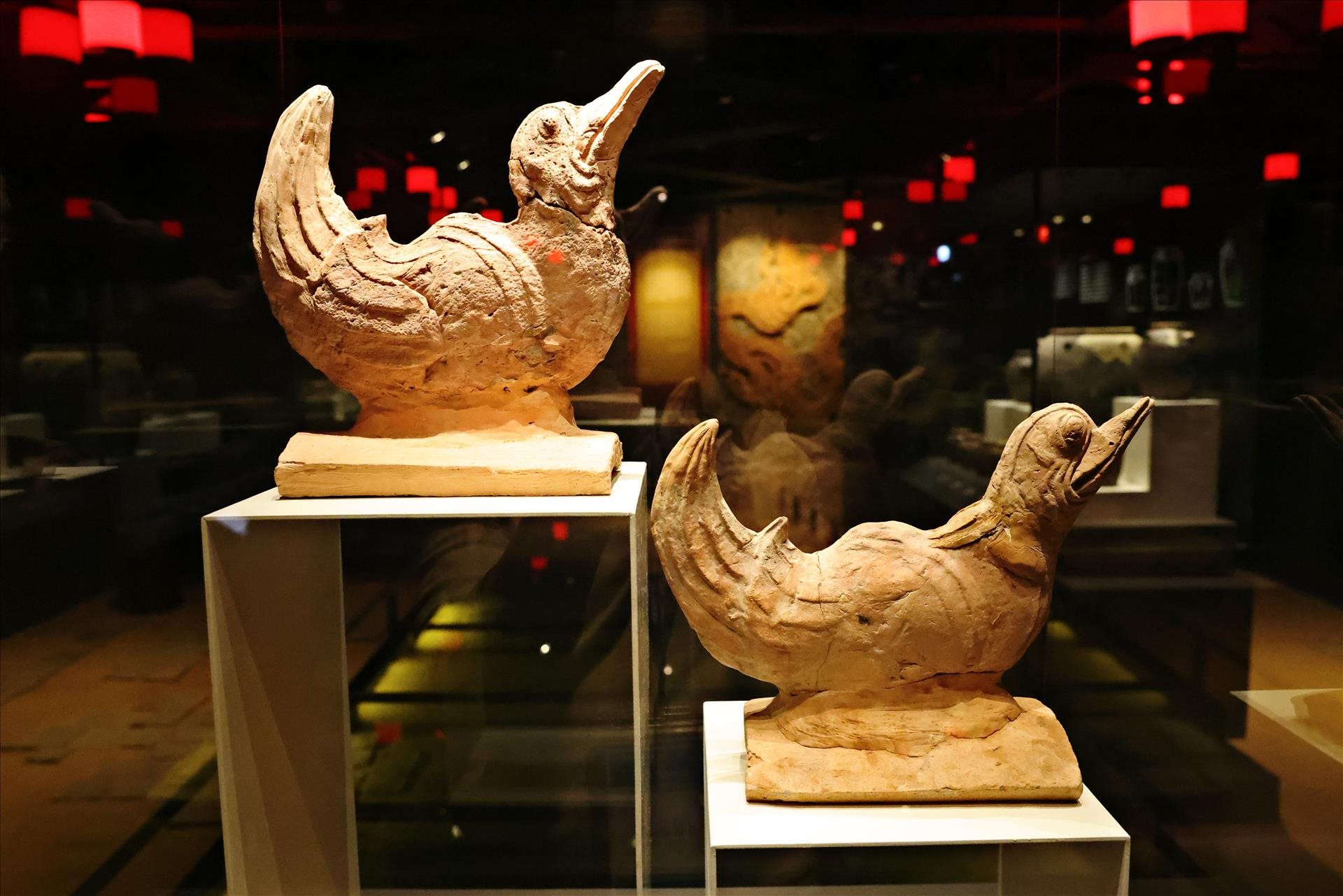 bao-anh-viet-nam-3.jpg