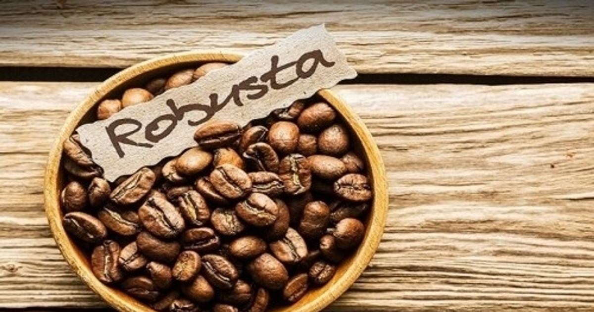 Giá cà phê robusta cao kỷ lục 45 năm, doanh nghiệp từng có cổ phiếu tăng hơn 2.000% trong 1 tháng báo lãi quý I gấp 7 lần