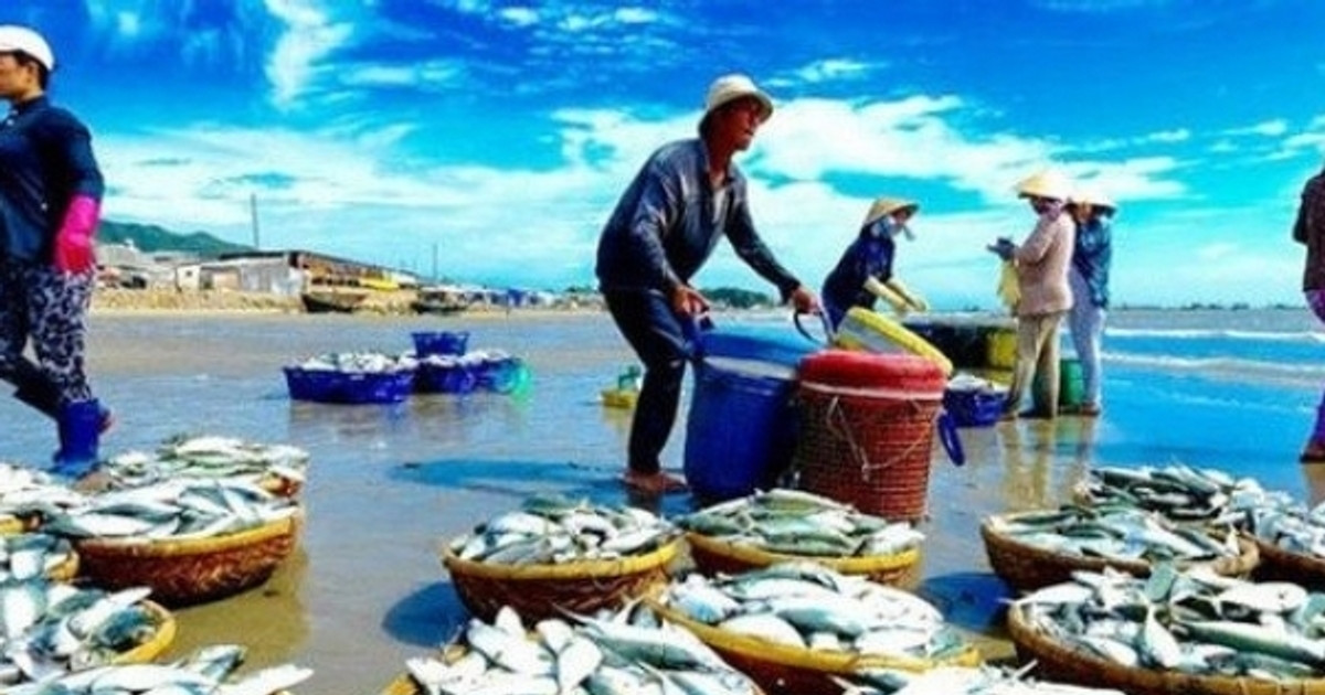 Giá cá tra khởi sắc, cổ phiếu Nam Việt (ANV) ‘rộng cửa’ tăng giá