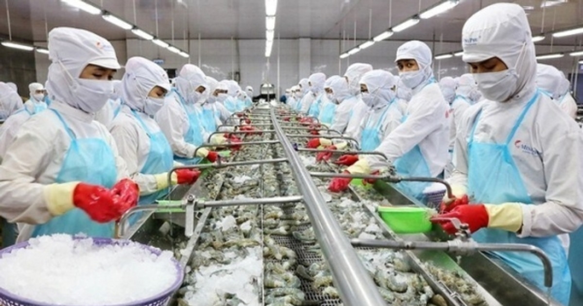 ‘Giảm Mỹ, tăng Nhật’, công ty thủy sản nhà PAN Group báo doanh số 95 triệu USD sau nửa đầu năm 2024