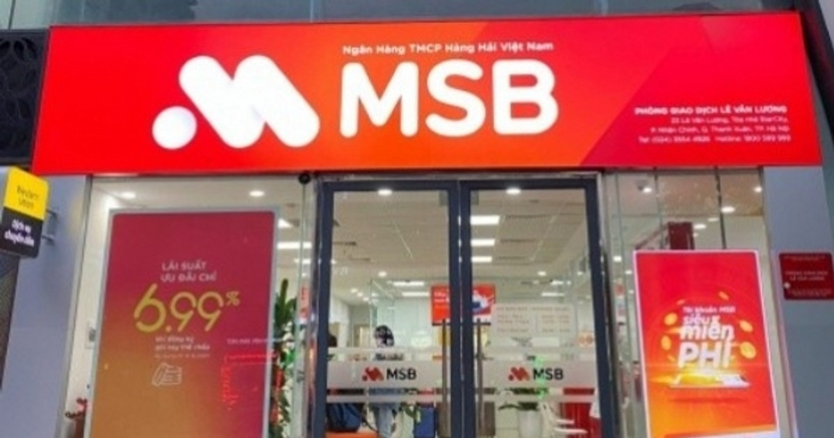 MSB: Hé lộ 1 cổ đông cá nhân duy nhất nắm trên 1% vốn điều lệ