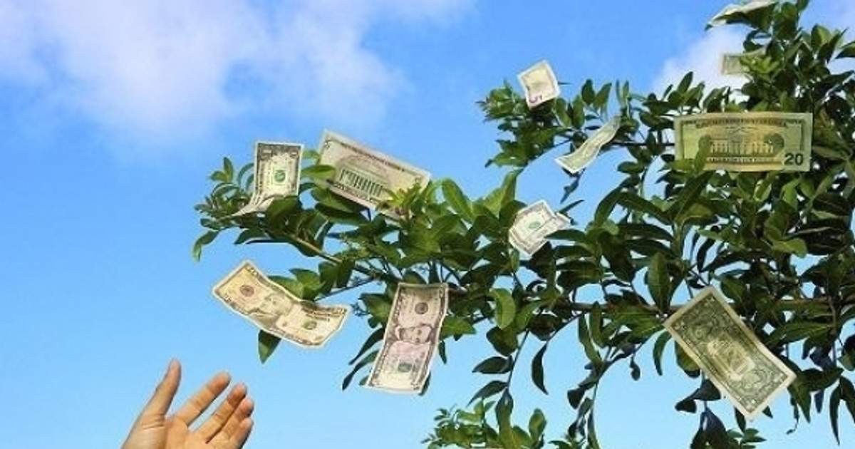 Một doanh nghiệp vật liệu xây dựng chuẩn bị chia cổ tức tỷ lệ 25% bằng tiền