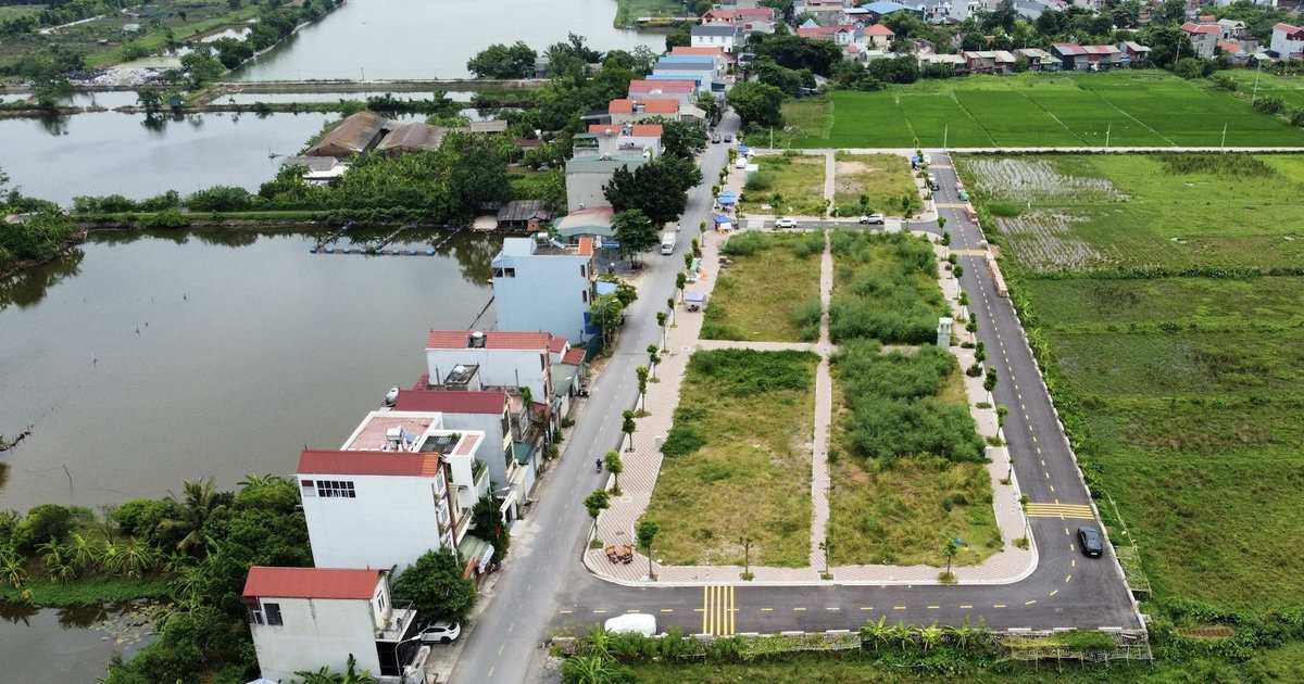 Đấu giá đất cao rồi bỏ cọc, tạo giá ảo để thao túng: Phổ biến, mang ...