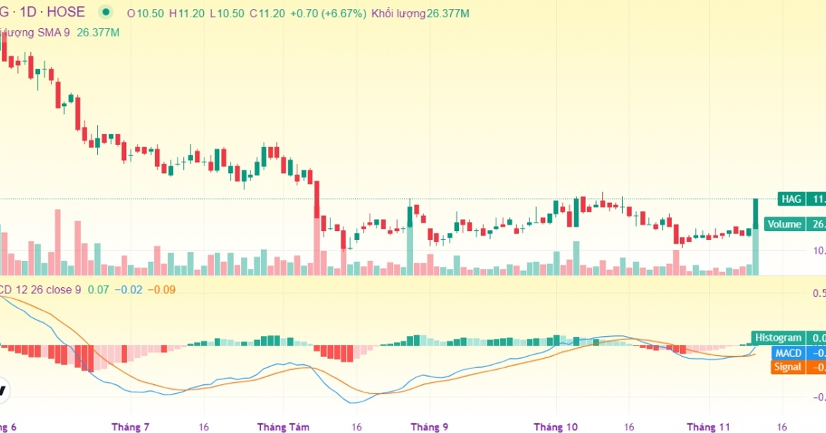 Phiên 12/11: Chứng sĩ đặt mua gần 44 triệu cổ phiếu HAG, 24 lệnh 'cá mập' được khớp