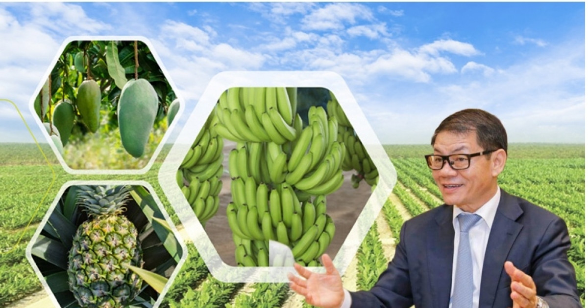 Thaco Agri của tỷ phú Trần Bá Dương bổ sung thêm 6.100 nhân sự trong quý III/2024