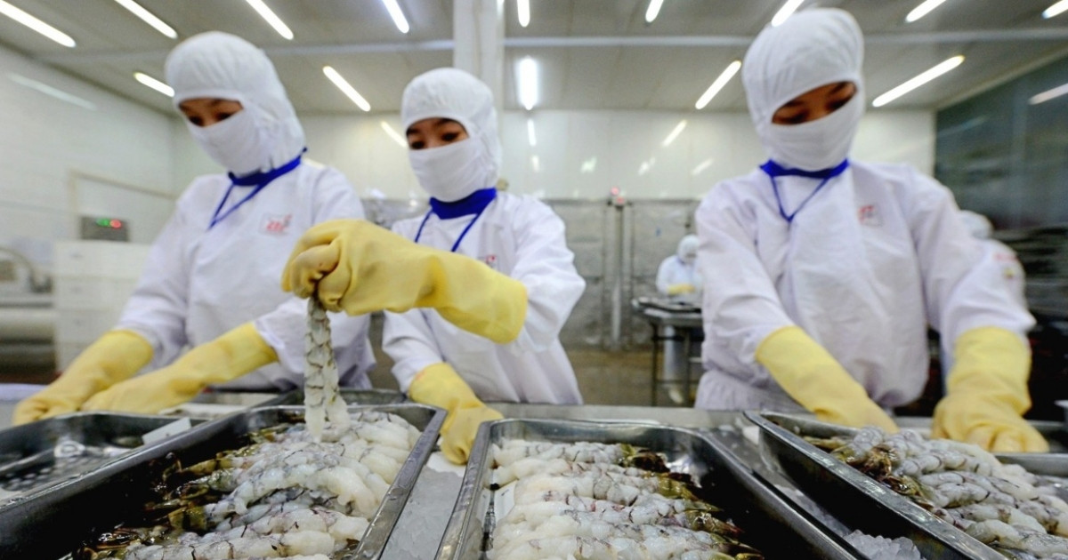 Doanh nghiệp đầu tiên hé lộ kế hoạch chia cổ tức sau lãi kỷ lục 2024