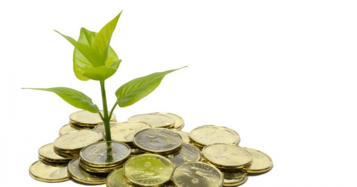 Thêm 5 doanh nghiệp chốt quyền trả cổ tức bằng tiền trong tháng 3, cao nhất 15%
