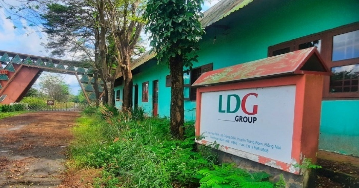 LDG điều chỉnh lỗ sau kiểm toán tăng gần gấp đôi, thành 1.500 tỷ đồng