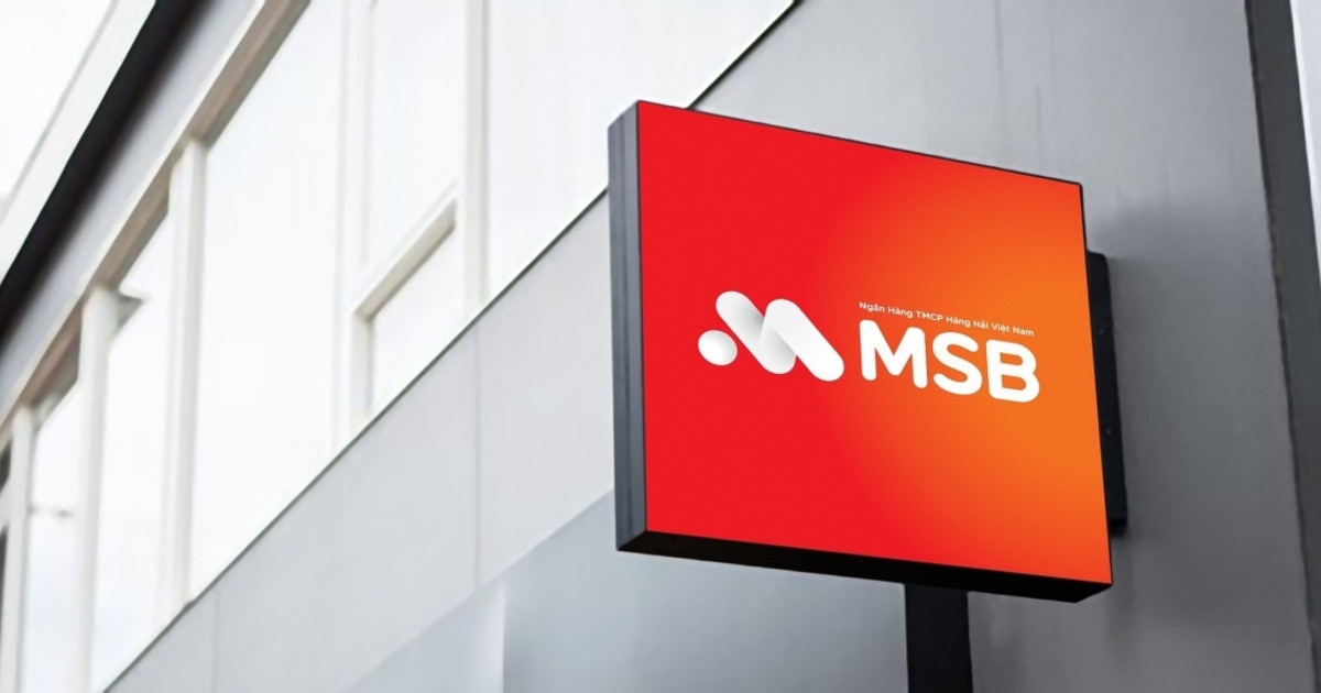 ĐHĐCĐ MSB: Mục tiêu lãi 16%, chia cổ tức 20%, thoái vốn TNEX Finance