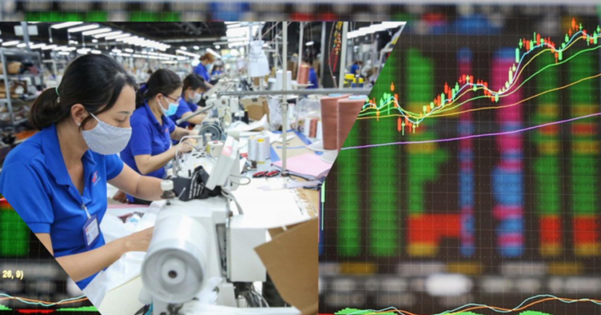 Một câu nói của ông Trump khiến cổ phiếu ngành xuất khẩu 3,78 tỷ USD của Việt Nam tăng kịch trần