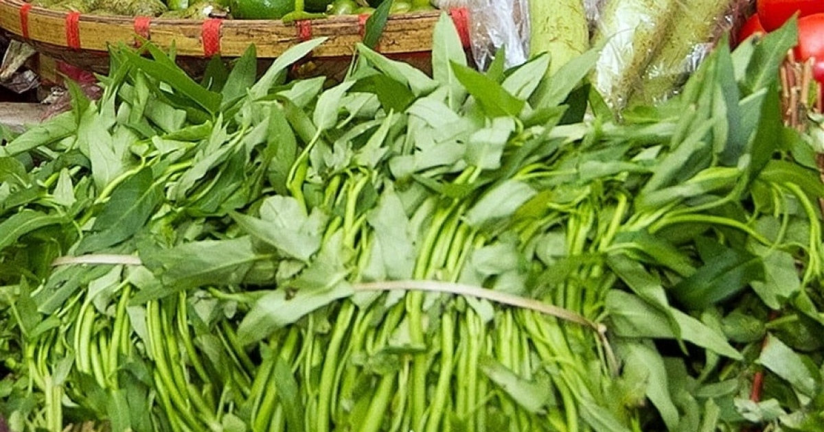 Loại rau ở Việt Nam rẻ như cho được ví như siêu thực phẩm xanh, sang ...