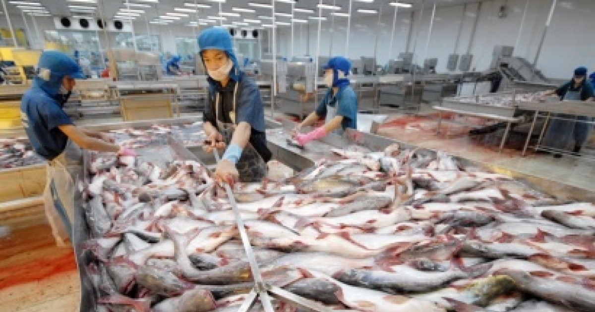 Tăng tốc xuất khẩu vào Mỹ trước thời hạn áp thuế đối ứng, một doanh nghiệp thuỷ sản được dự báo lãi tăng 1.000%