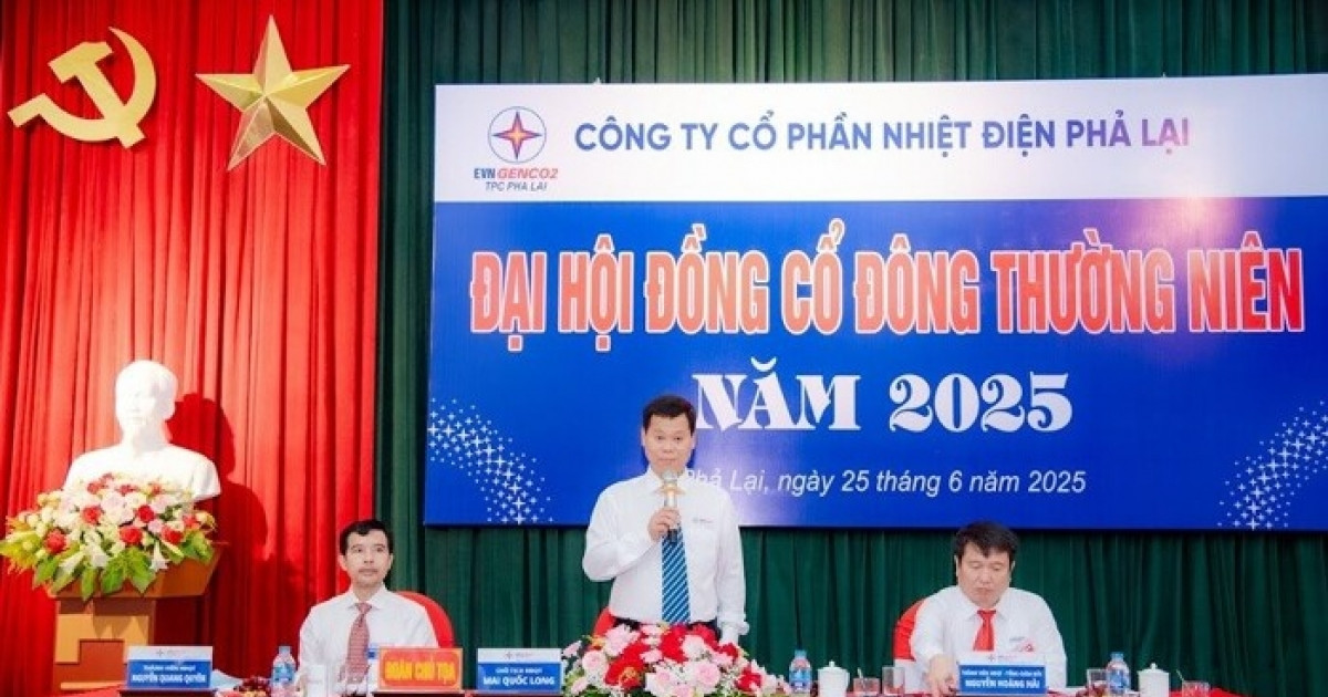 Cổ đông REE gây sức ép cải tổ chiến lược điện, phủ quyết nhiều nội dung: Lãnh đạo PPC ‘án binh bất động’