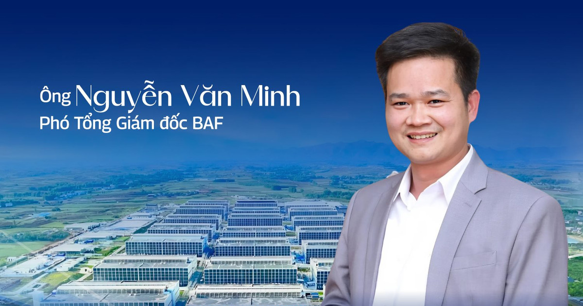 Mang heo lên... ở chung cư: Tưởng lạ mà rất hợp lý!