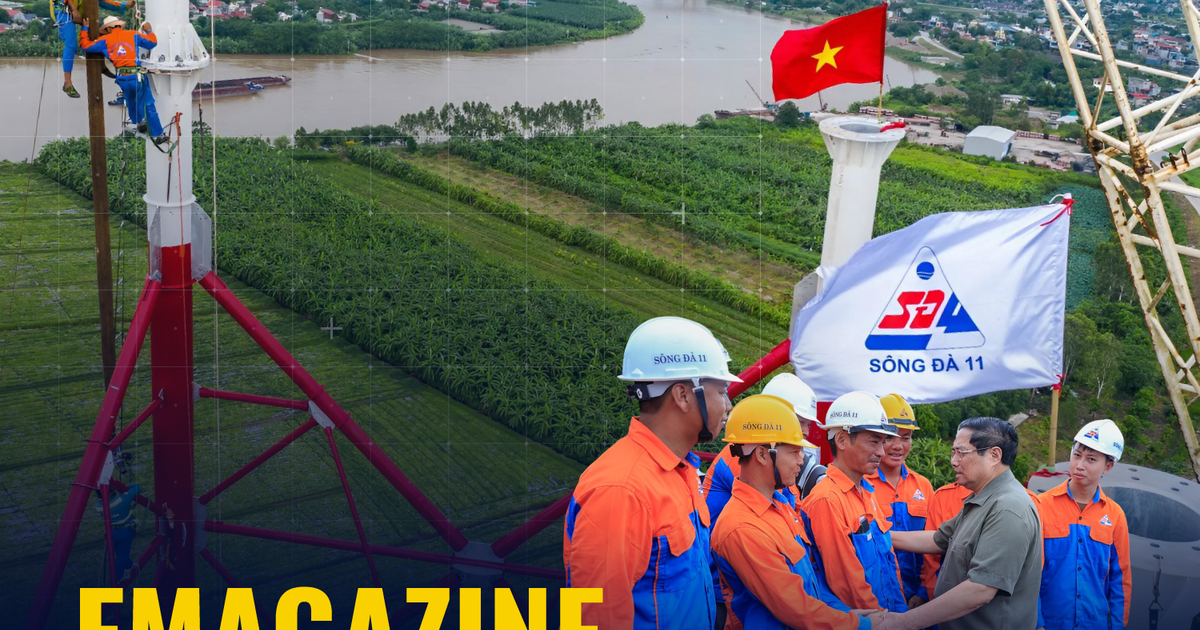 Sông Đà 11 (SJE): Lợi nhuận tăng chất 4 năm liền, vì sao cổ phiếu vẫn ‘lang thang’ vùng 18.x?