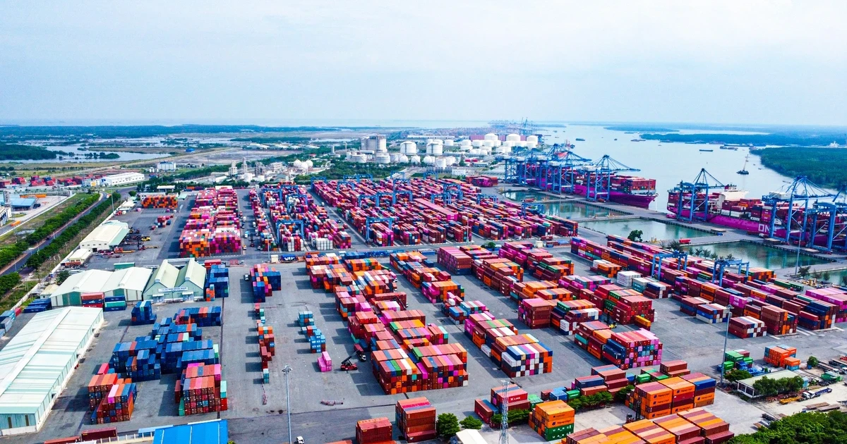 Gần 500 container chè Việt Nam ách tắc tại Pakistan