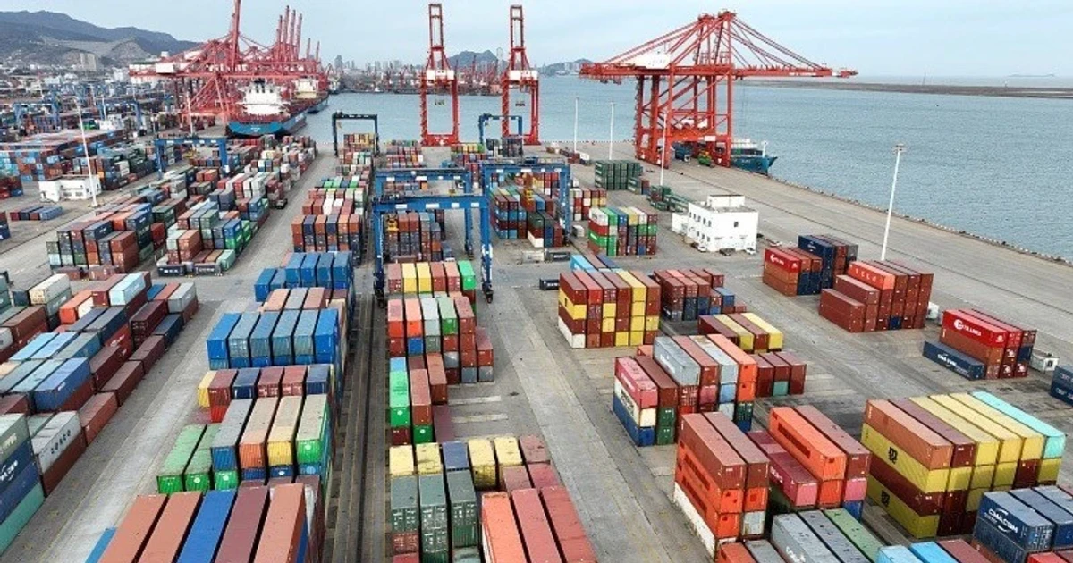 Tin mới nhất về gần 500 container chè Việt Nam ách tắc tại Pakistan