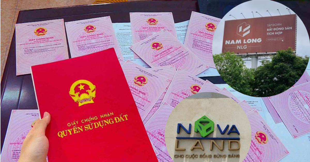 Xem xét cấp sổ hồng cho hàng nghìn căn hộ tại các dự án của Novaland (NVL) và Nam Long (NLG)