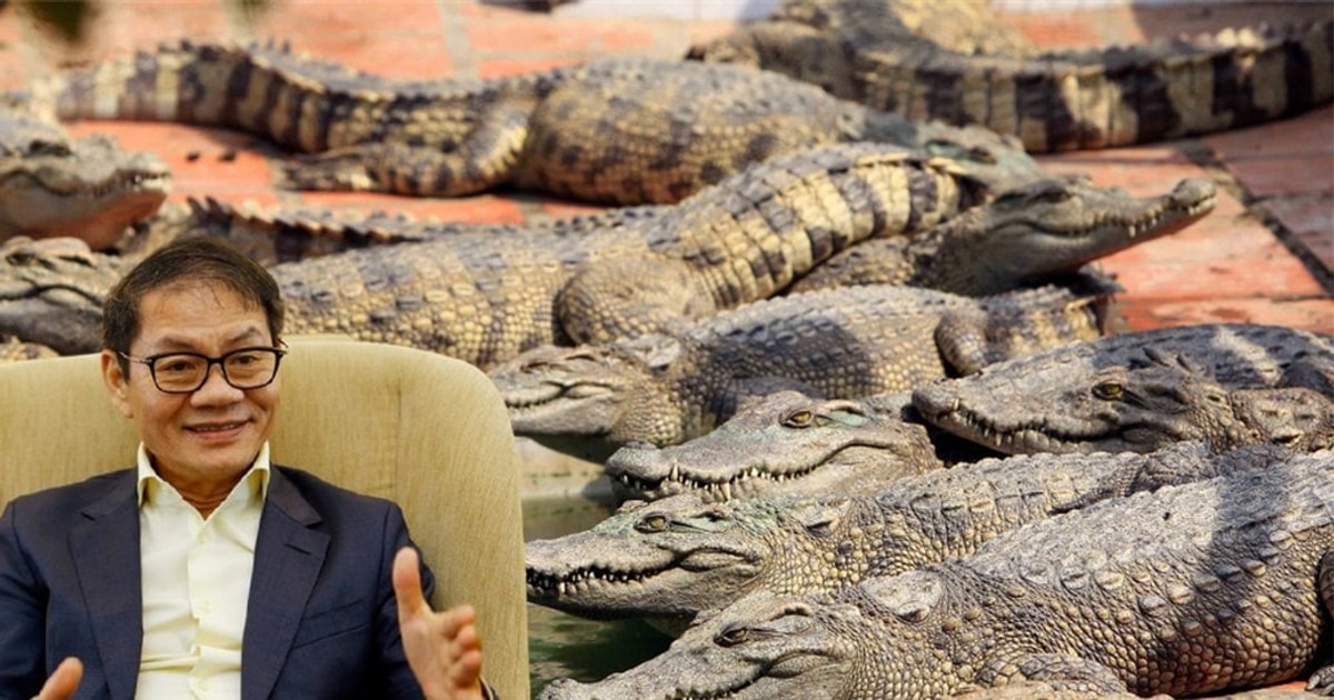 Ông Trần Bá Dương: THACO có kế hoạch nuôi cá sấu, cá nước ngọt, tổ yến... để xuất khẩu
